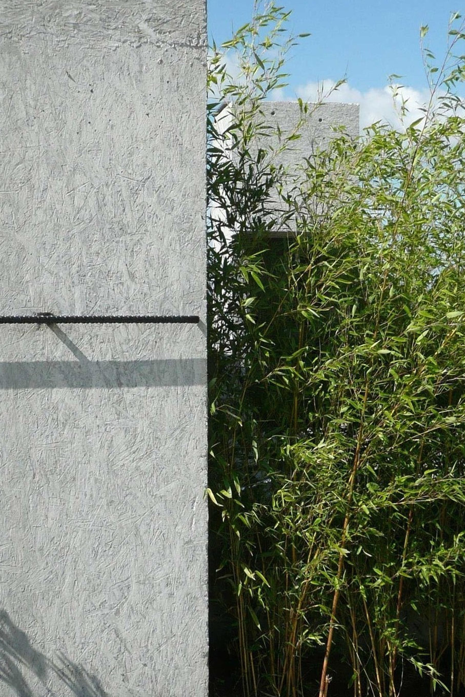 Dialogue entre le béton coffré en OSB et la végétation d’une maison unifamiliale à A Estrada. Miguel Camba, architecte.